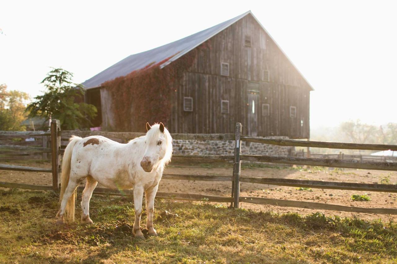 Battlefield Bed & Breakfast Bed & Breakfast Gettysburg Exterior photo